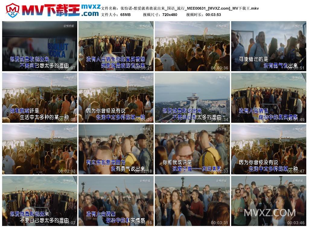 张怡诺-想爱就勇敢说出来_国语_流行_MEE00631